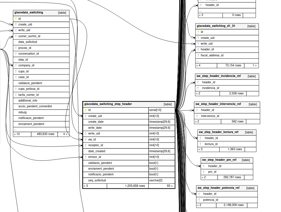 Switching schema excerpt